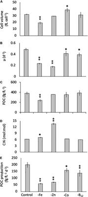 Limitation by Fe, Zn, Co, and B12 Results in Similar Physiological Responses in Two Antarctic Phytoplankton Species